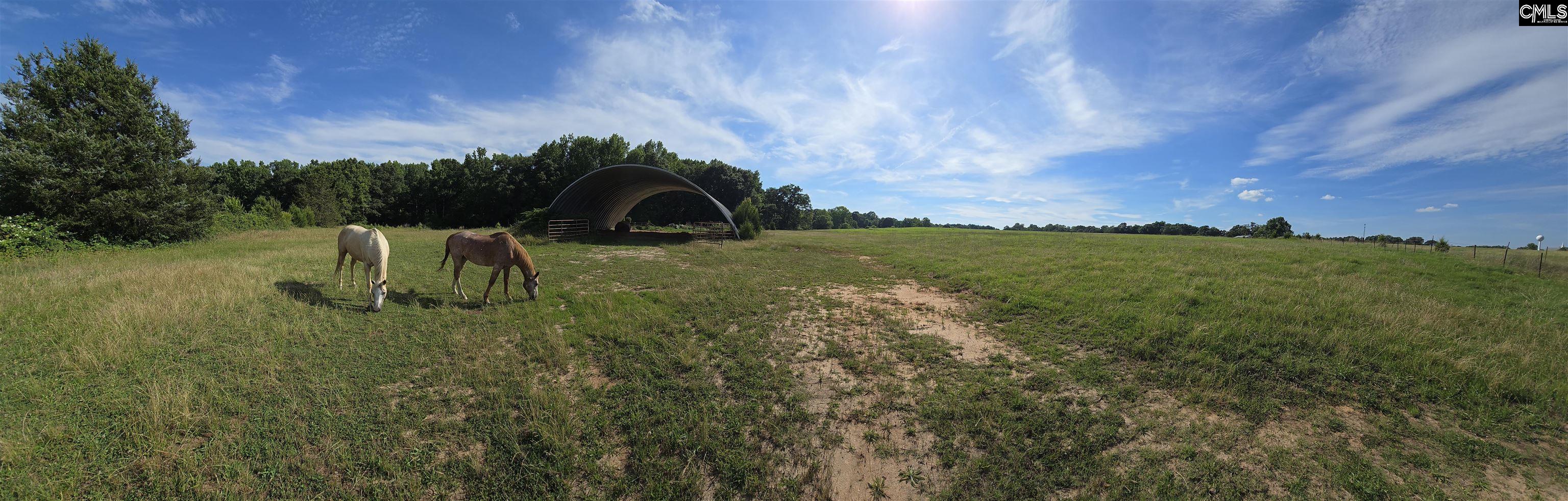 542 Pea Ridge Highway Jonesville, SC 29353 - Photo 67 of 72