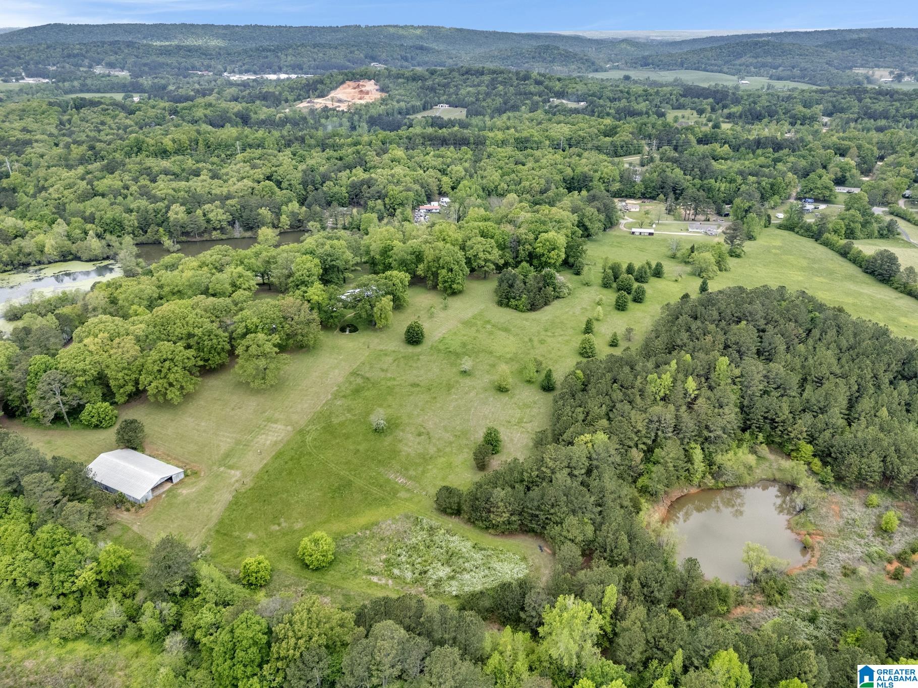 195 Harp Road Oneonta, AL 35121 - Photo 38 of 40