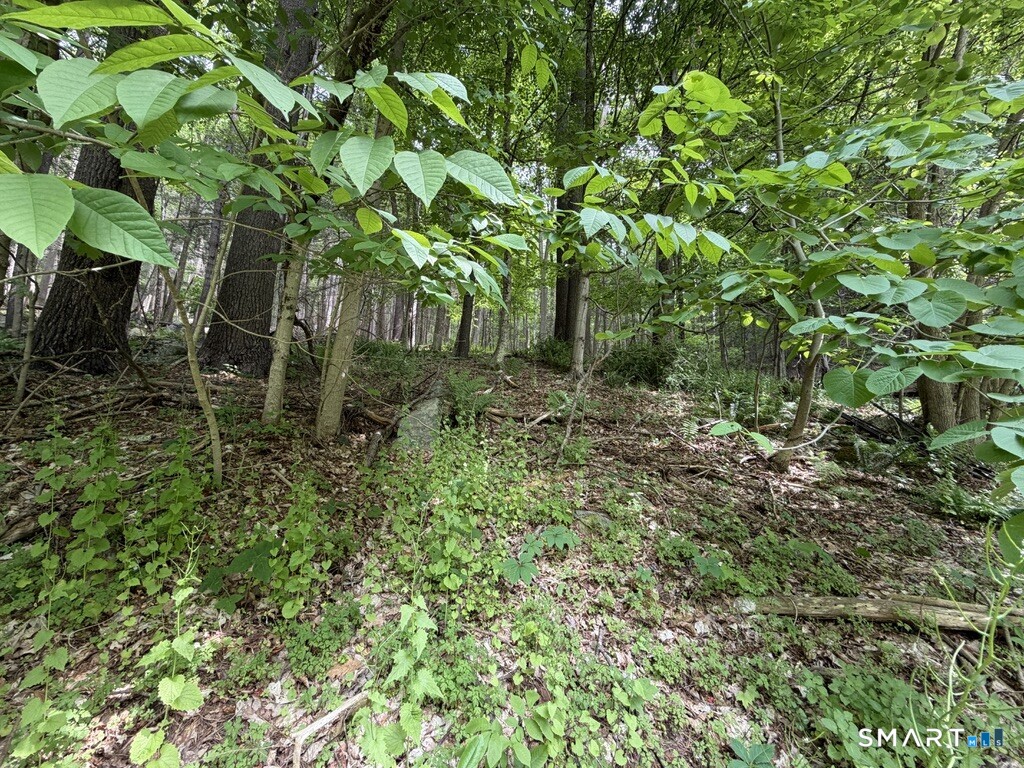 48 Lower River Road Cornwall, CT 06796 - Photo 24 of 30