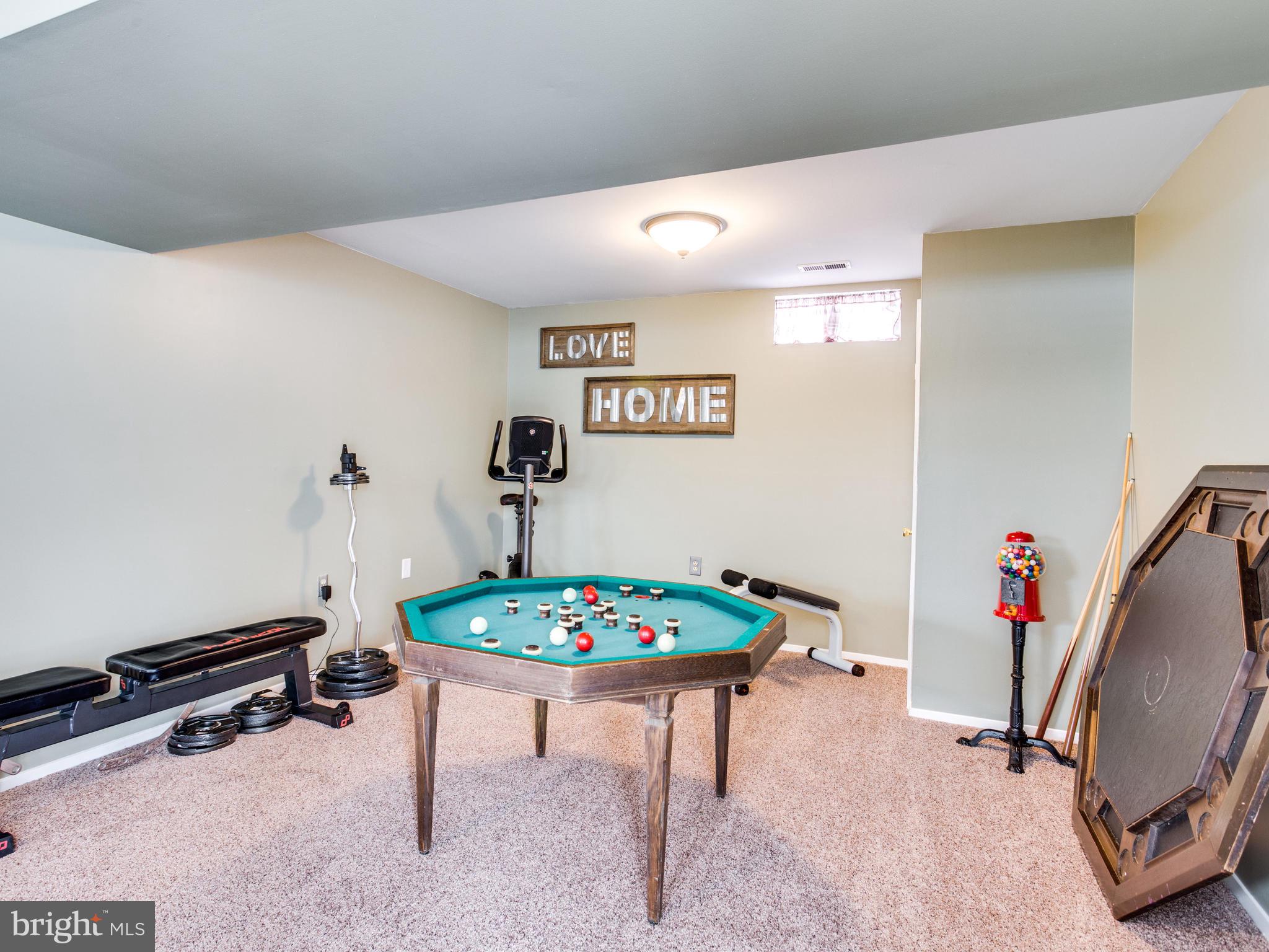 330 Royer Road Westminster, MD 21158 - Photo 32 of 57 Game area with overhead lighting