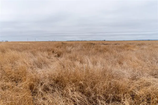 $98,500 | T1 County Road 204, Winters, TX 79567