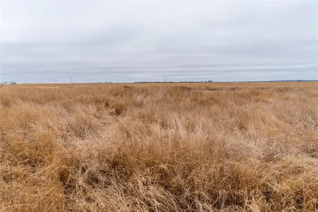 $98,500 | T1 County Road 204, Ovalo, TX 79541