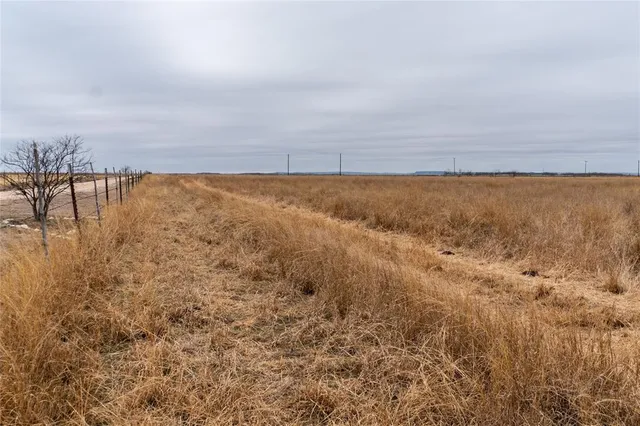 $98,500 | T1 County Road 204, Ovalo, TX 79541