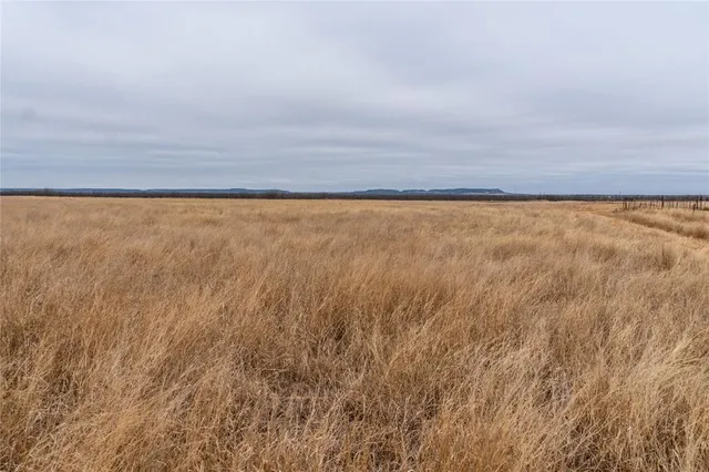 $98,500 | T1 County Road 204, Ovalo, TX 79541