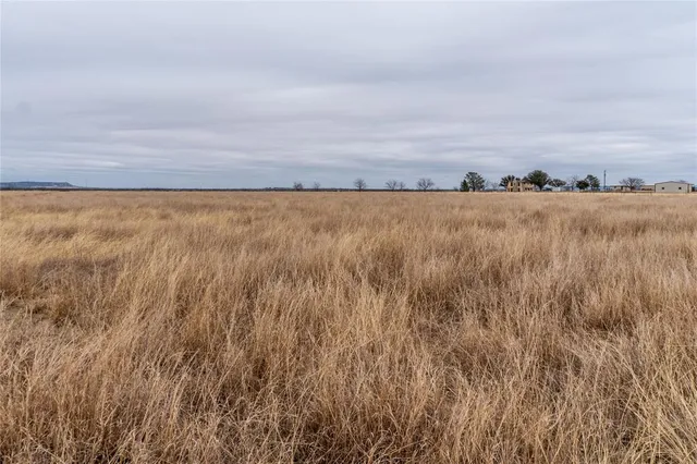 $98,500 | T1 County Road 204, Ovalo, TX 79541