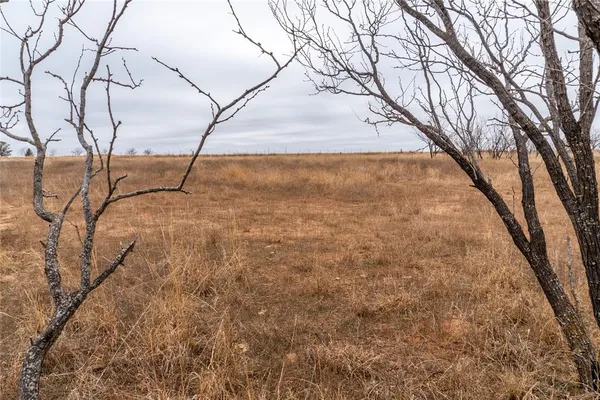 $98,500 | T1 County Road 204, Winters, TX 79567