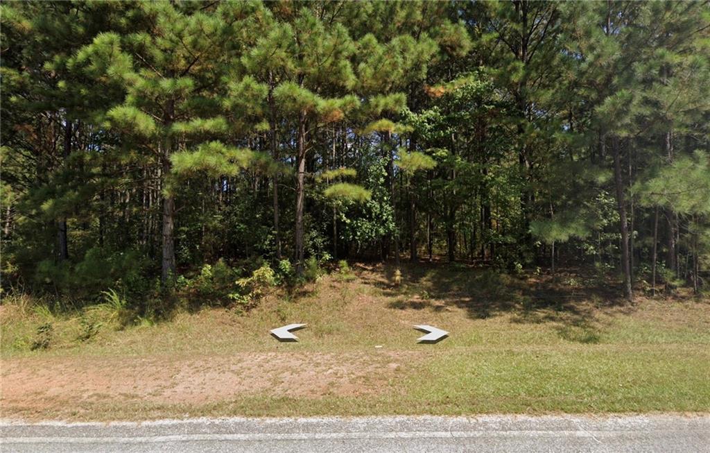 0 Ferry Road Franklin, GA 30217 - Photo 3 of 3