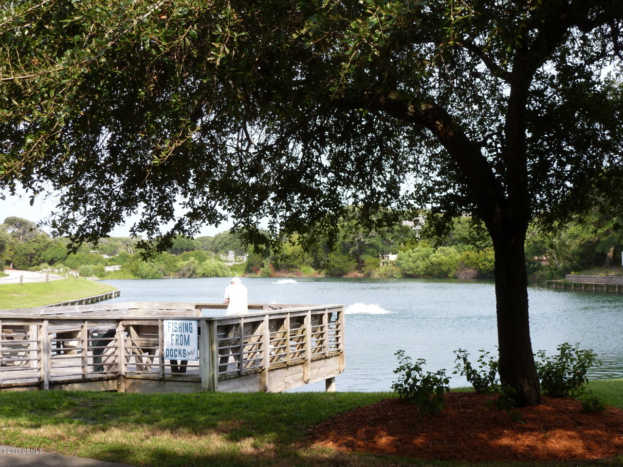 561 Coral Ridge Road Pine Knoll Shores, NC 28512 - Photo 9 of 46 Lagoons