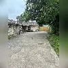 a view of a house with a tree