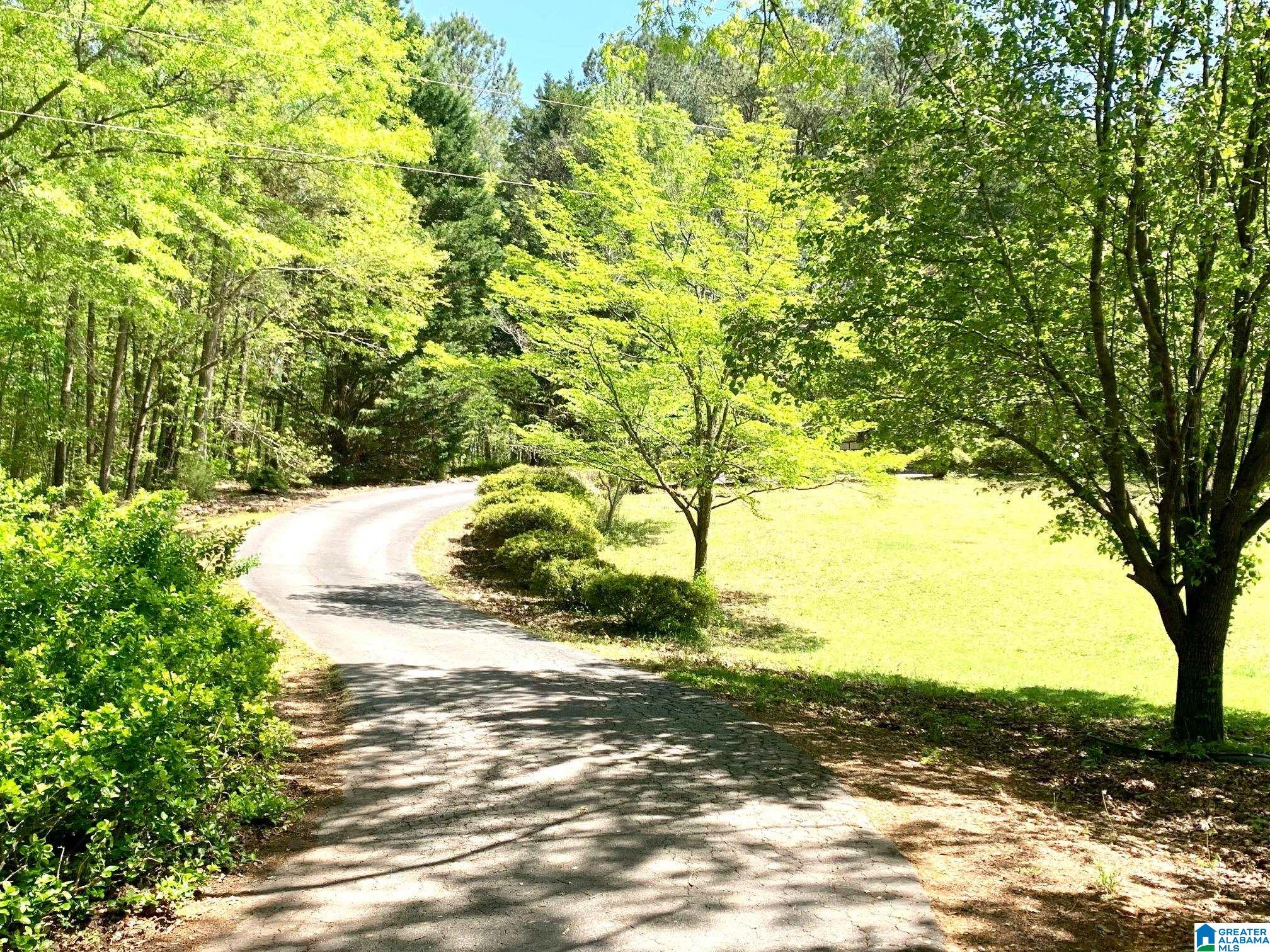 788 River Road Heflin, AL 36264 - Photo 9 of 47