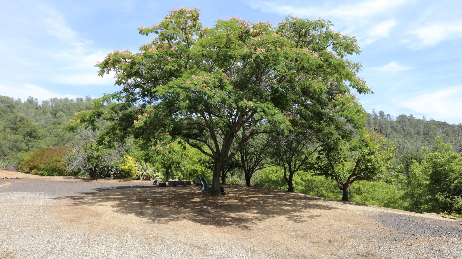 1484 Oregon Gulch Road Oroville, CA 95965 - Photo 58 of 78