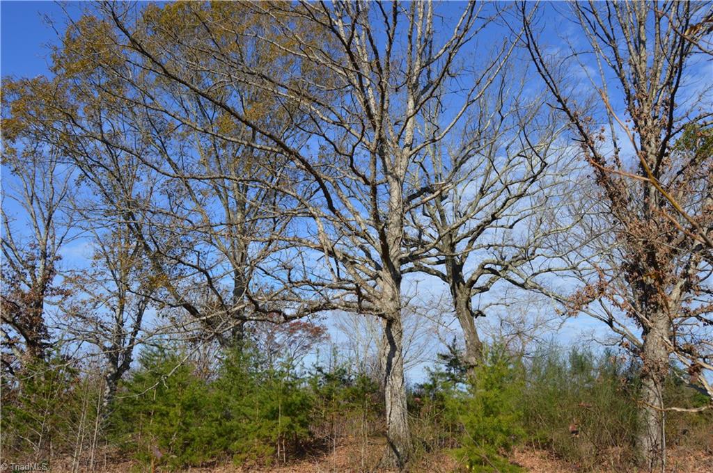 505 Holland Road Pelham, NC 27311 - Photo 24 of 33 Gallery Image 24