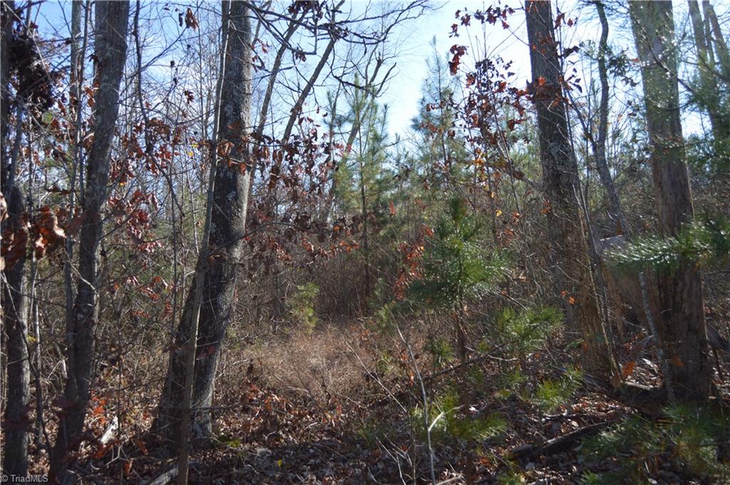 505 Holland Road Pelham, NC 27311 - Photo 28 of 33 Gallery Image 28