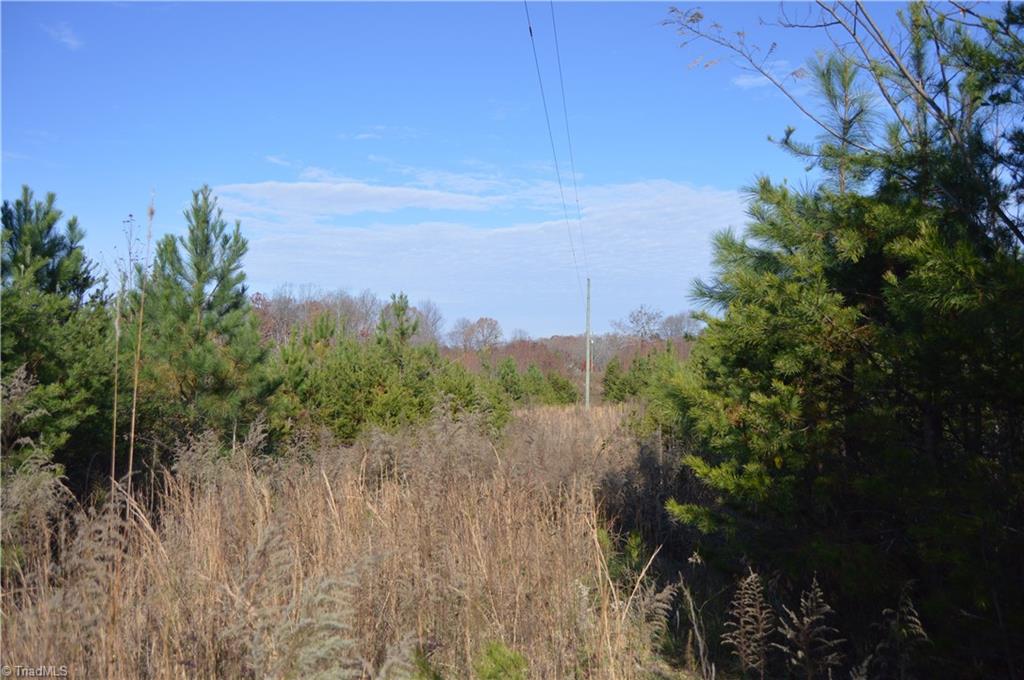 505 Holland Road Pelham, NC 27311 - Photo 29 of 33 Gallery Image 29