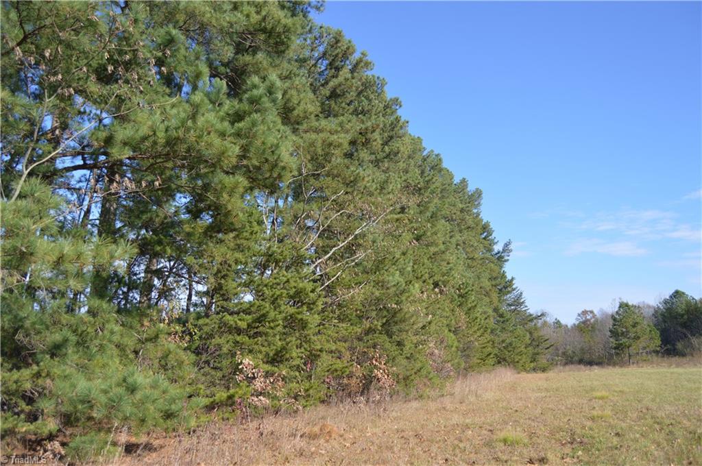 505 Holland Road Pelham, NC 27311 - Photo 30 of 33 Gallery Image 30