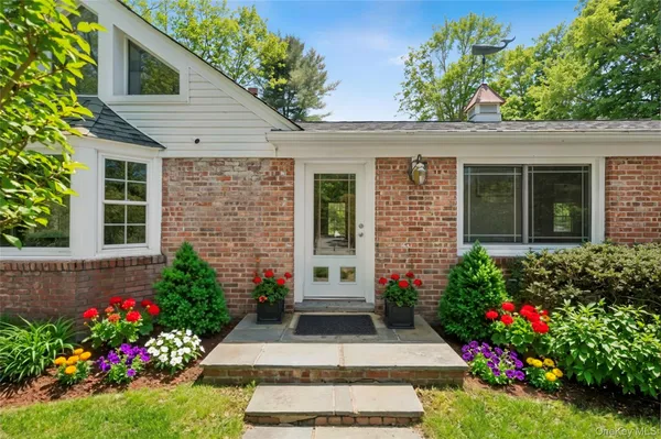 a view of a potted plant sitting in front of a house