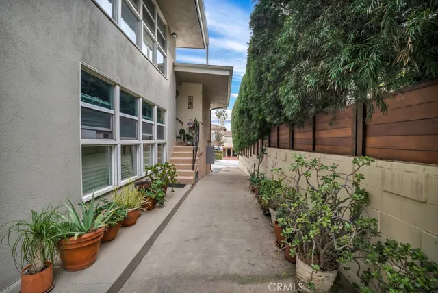 a view of a backyard with potted plants