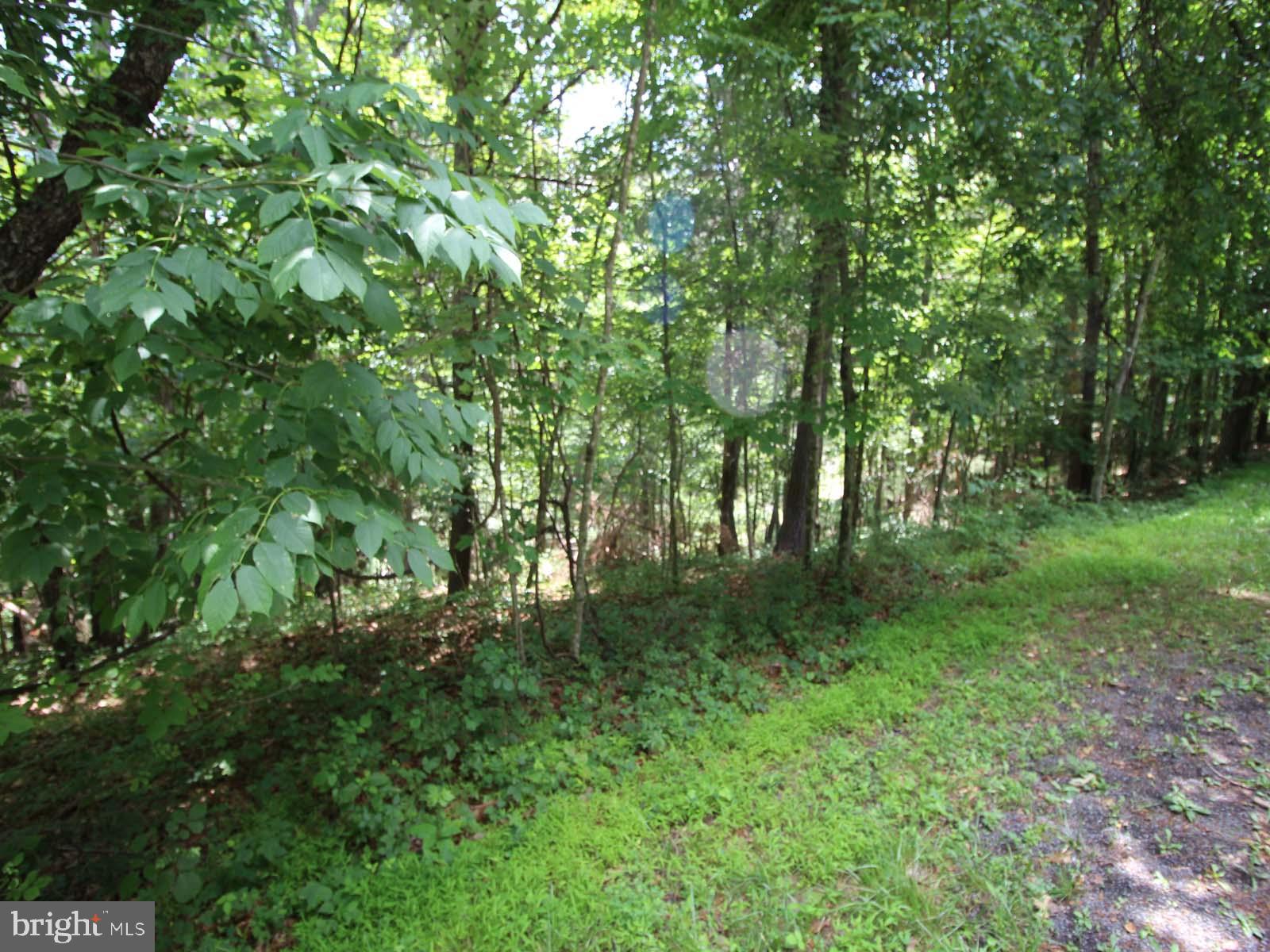 0 Anderson Road Mount Jackson, VA 22842 - Photo 4 of 4