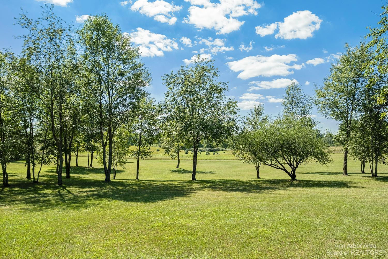 9050 Sharon Hollow Road Manchester, MI 48158 - Photo 36 of 60 Photo 36