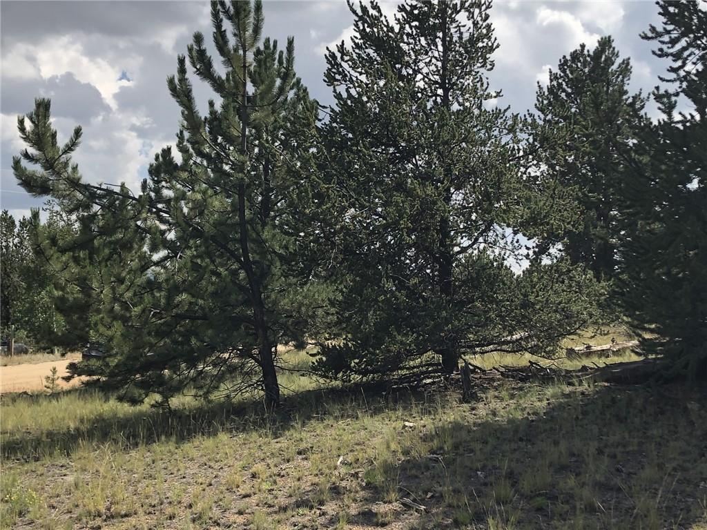 509 Signal Ridge Road Como, CO 80432 - Photo 5 of 21 Gallery Image 5