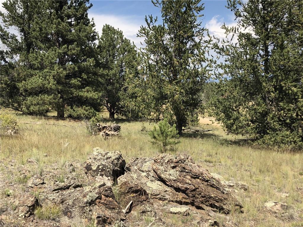 509 Signal Ridge Road Como, CO 80432 - Photo 8 of 21 Gallery Image 8