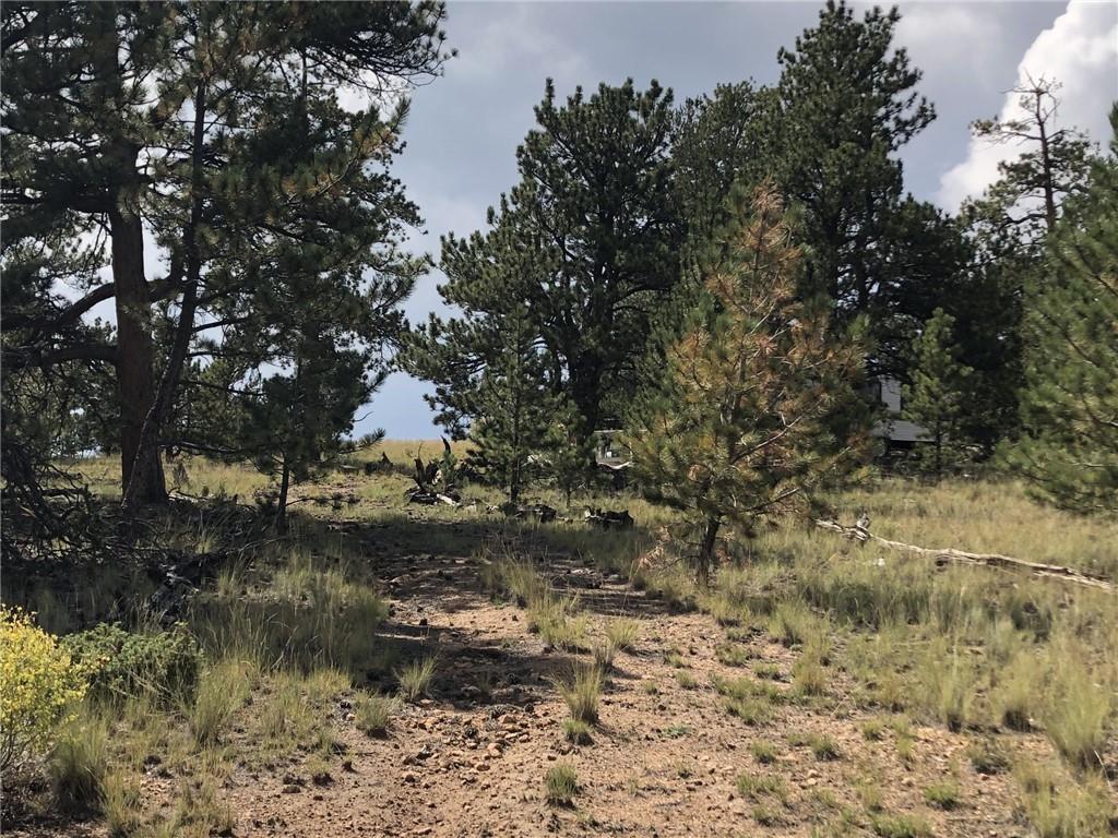 509 Signal Ridge Road Como, CO 80432 - Photo 9 of 21 Gallery Image 9