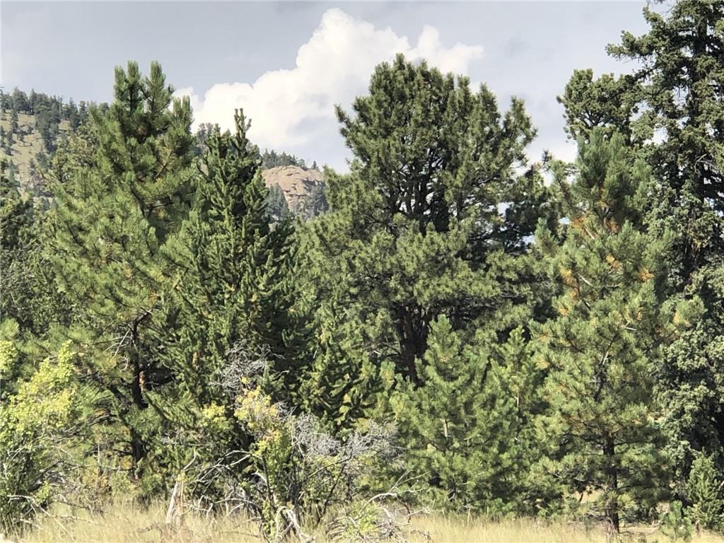 509 Signal Ridge Road Como, CO 80432 - Photo 10 of 21 Gallery Image 10