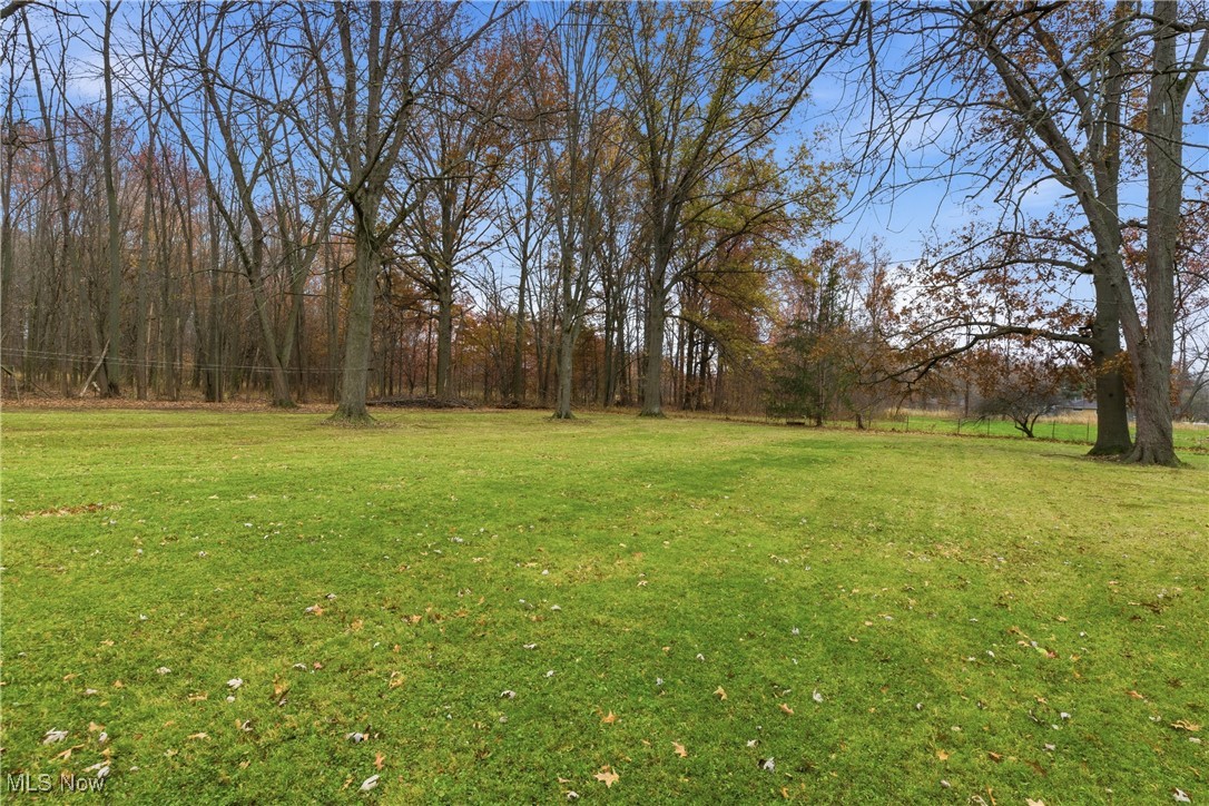 35939 Chestnut Ridge Road North Ridgeville, OH 44039 - Photo 46 of 50 Gallery Image 46