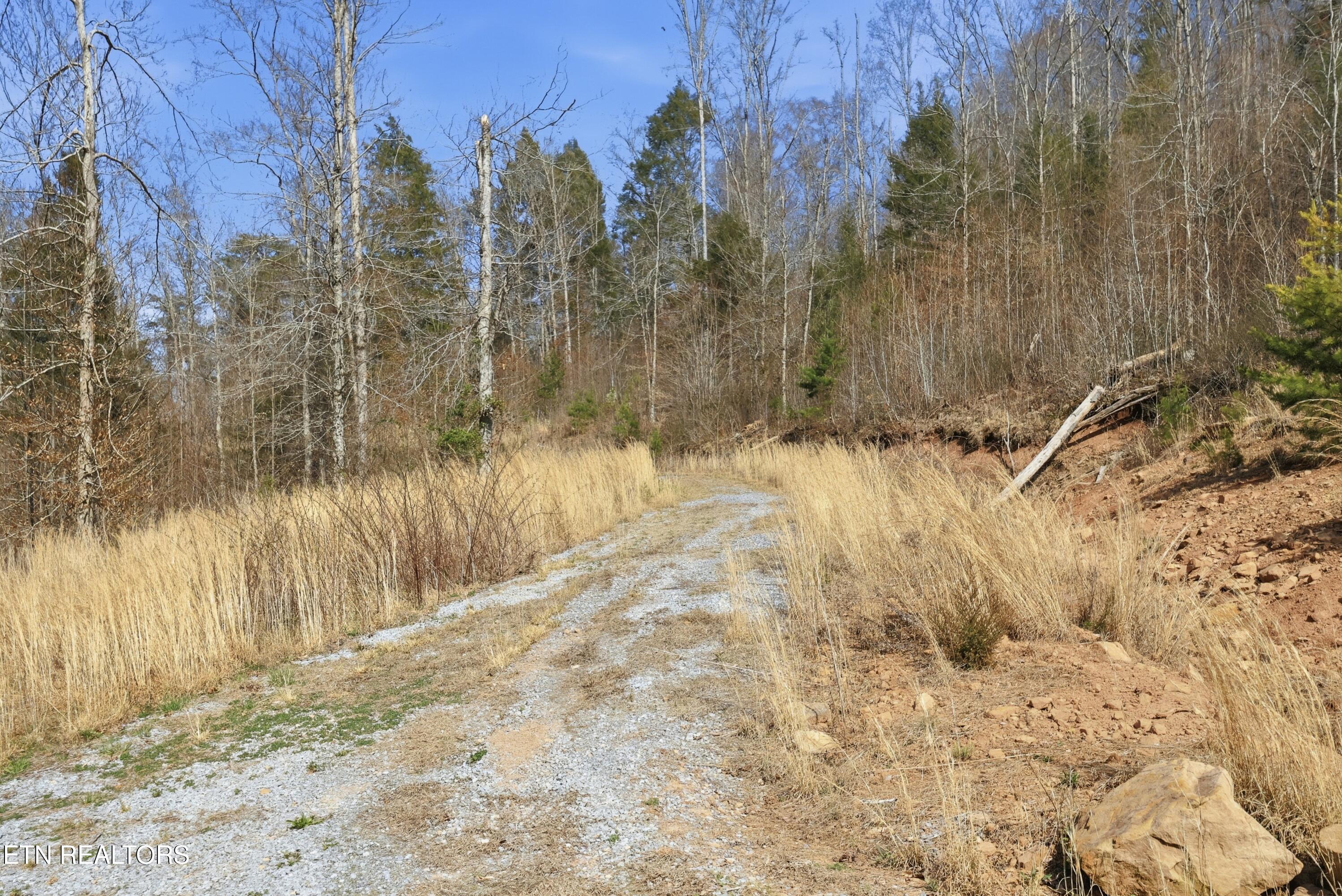 310 Early Branch Road Rogersville, TN 37857 - Photo 33 of 44 55-310_Early_Branch_Rd_015