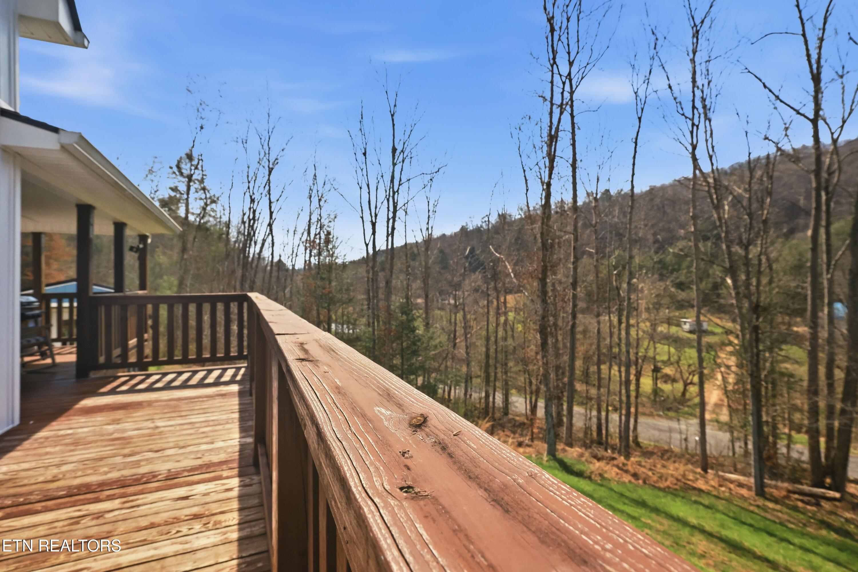 310 Early Branch Road Rogersville, TN 37857 - Photo 38 of 44 14-310_Early_Branch_Rd_051