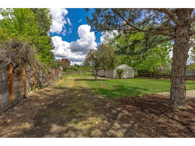 a view of a big yard with potted plants and large trees