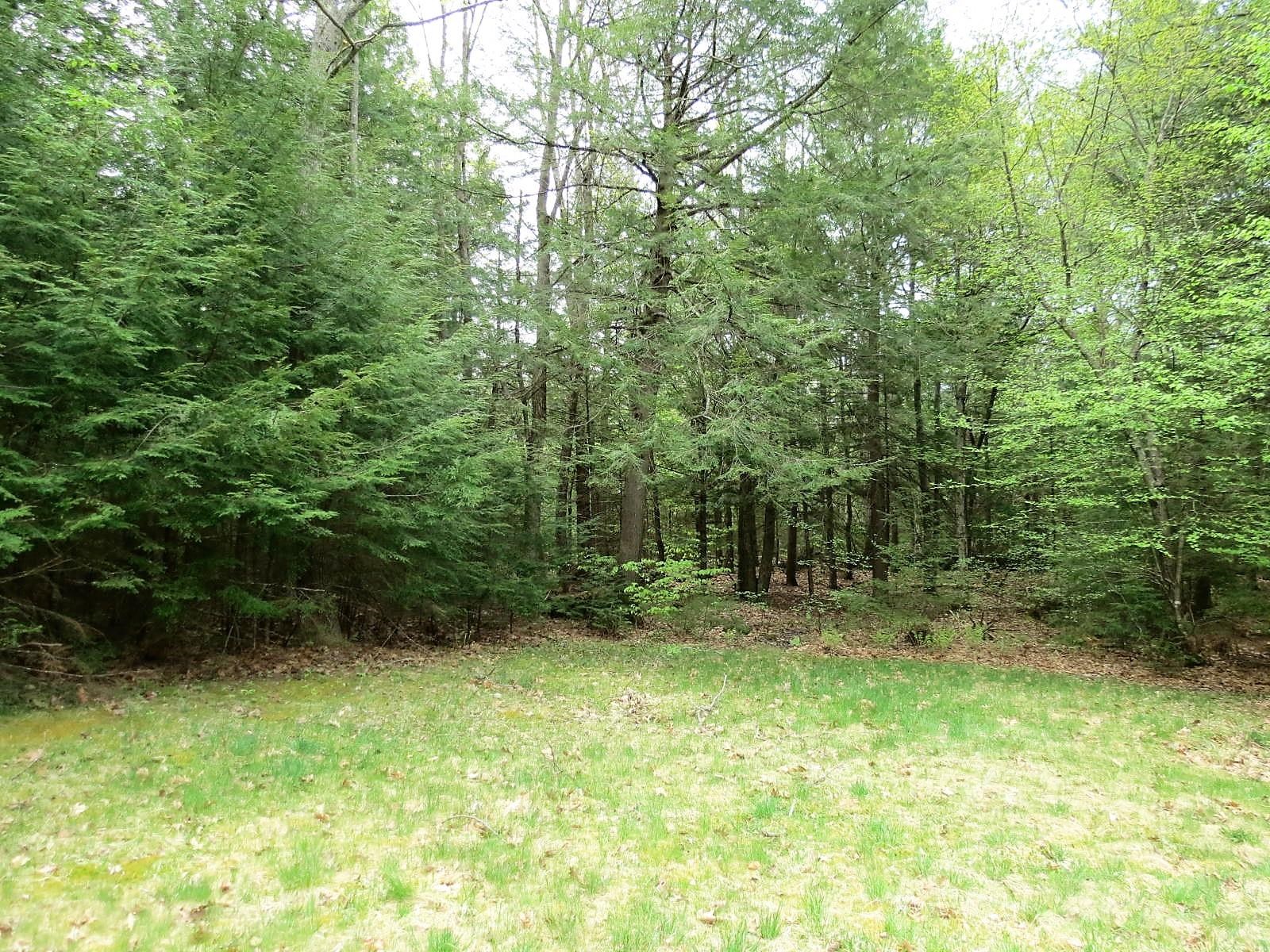 31 Gilmore Pond Road Jaffrey, NH 03452 - Photo 30 of 30