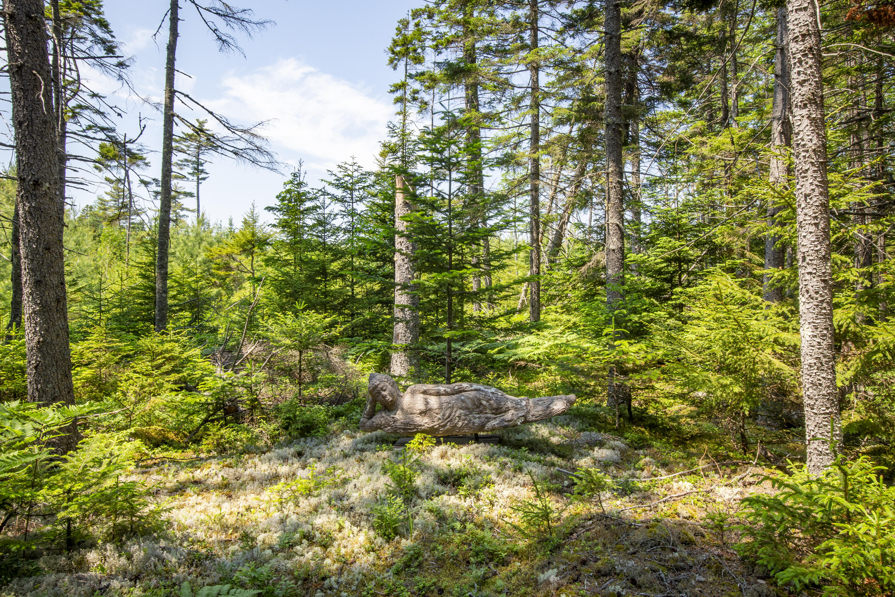 94 Marsh Road Bass Harbor, ME 04653 - Photo 48 of 48 57b-94MarshRd-BassHarbor-KS
