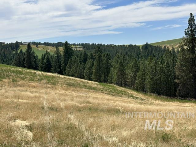 0 Parkins Road Troy, ID 83871 - Photo 23 of 33