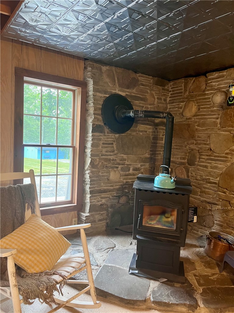 118 Snowburg Road Southport, NY 14871 - Photo 28 of 50 Pellet stove basement