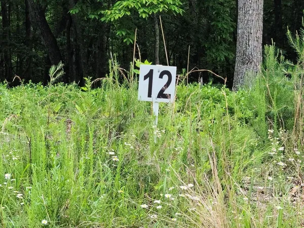 $33,252 | Lot 12 Belle Isle Drive, Union Hall, VA 24176