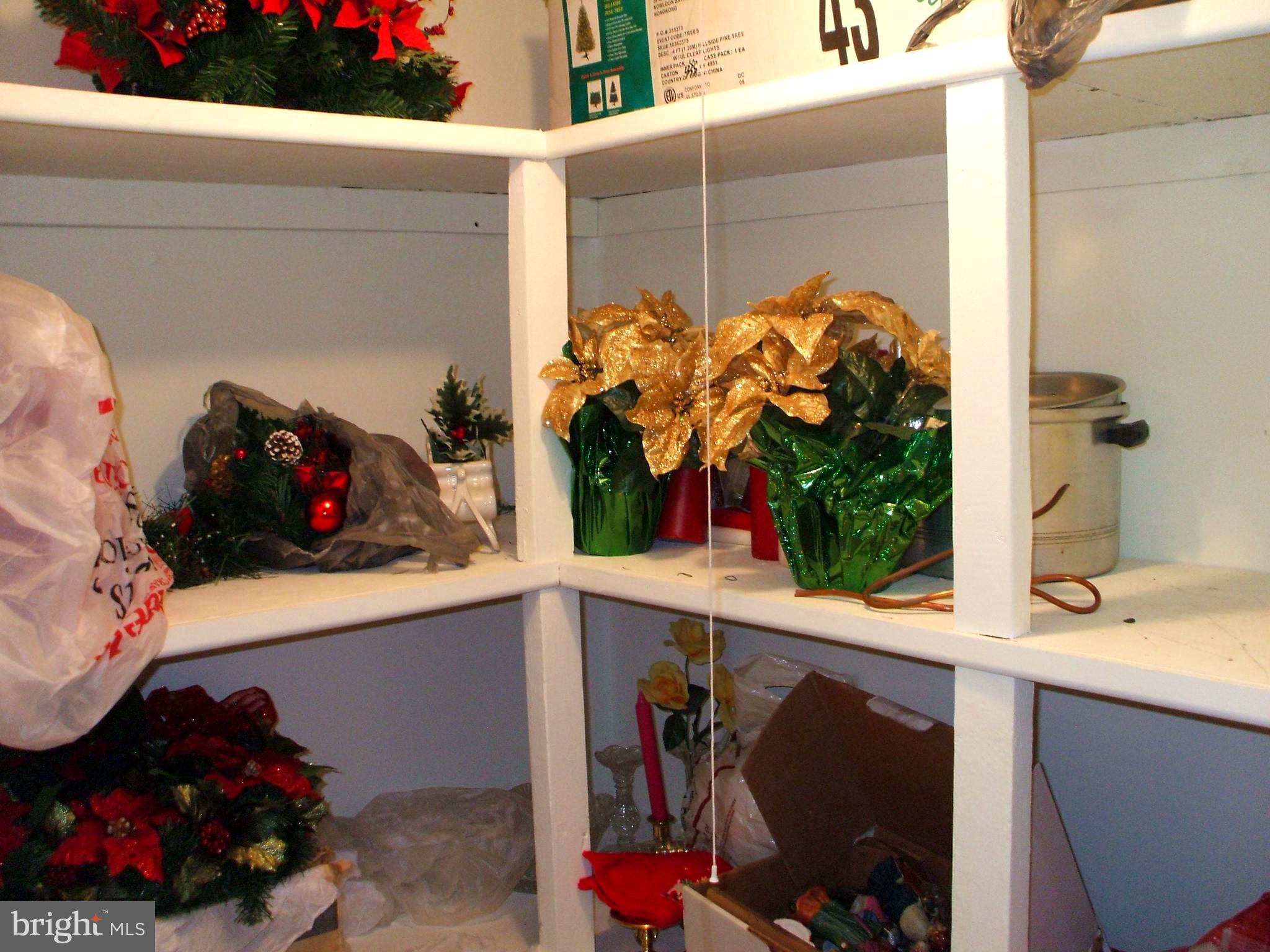 838 Colwell Road Swarthmore, PA 19081 - Photo 9 of 16 Utility Room Storage Closet W/Built In Shelving