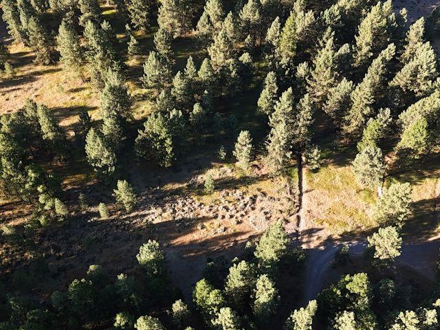 1116 Little Bear Road Blairsden, CA 96103 - Photo 24 of 30 Gallery Image 24