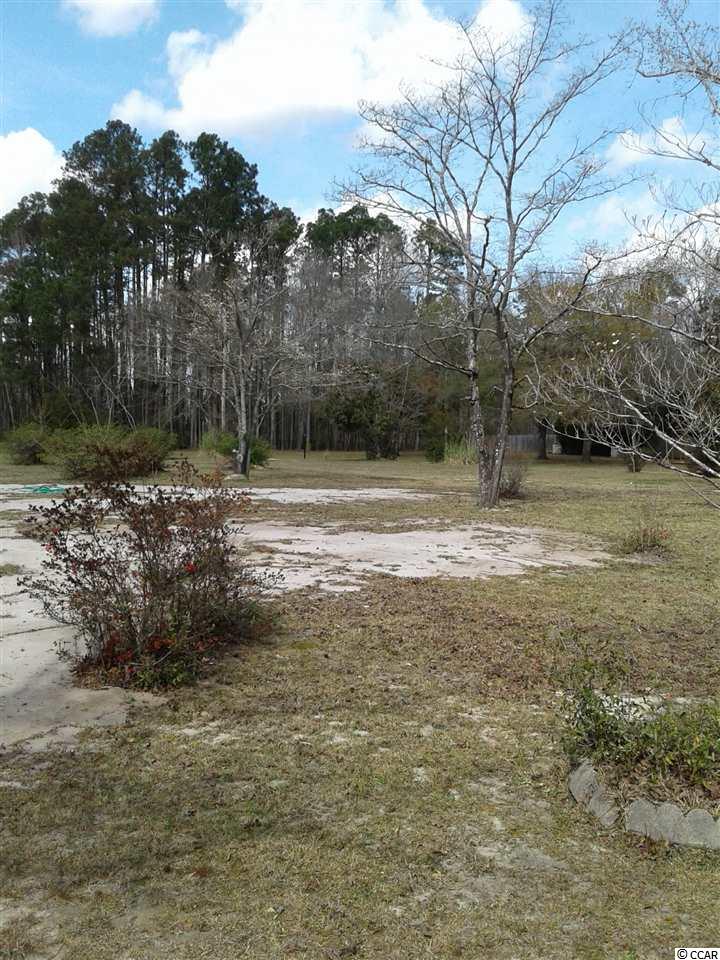 10995 Browns Ferry Road Georgetown, SC 29440 - Photo 2 of 8