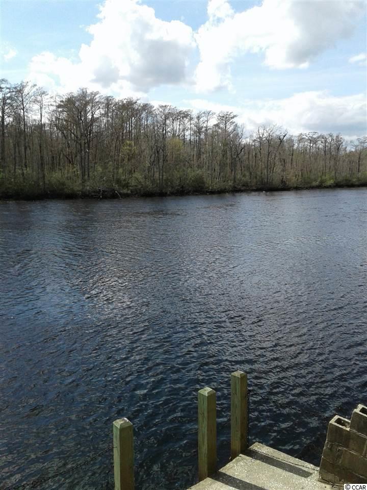 10995 Browns Ferry Road Georgetown, SC 29440 - Photo 3 of 8