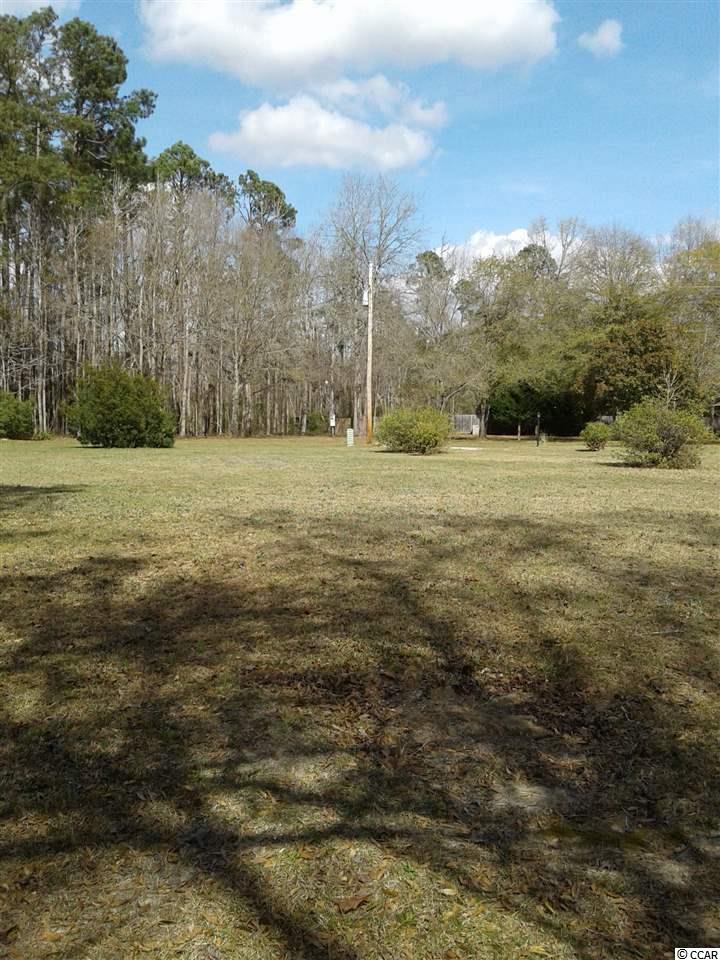 10995 Browns Ferry Road Georgetown, SC 29440 - Photo 5 of 8