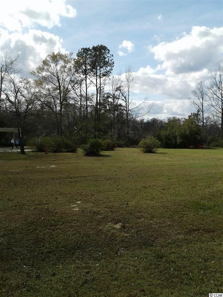 10995 Browns Ferry Road Georgetown, SC 29440 - Photo 7 of 8