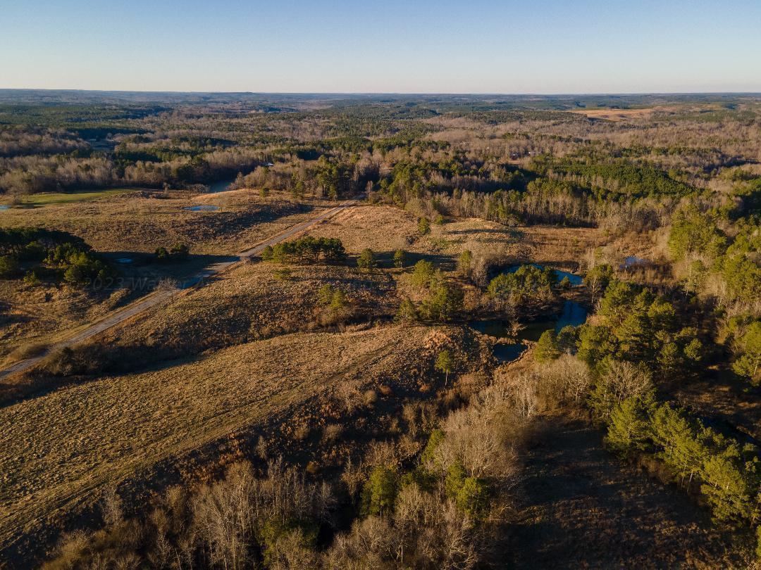 0 Busby Church Road Nauvoo, AL 35578 - Photo 20 of 24 Gallery Image 20
