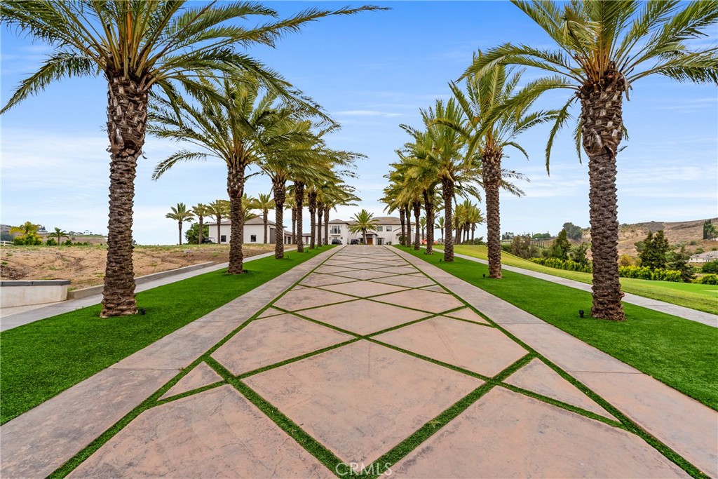 a view of a park with a tree