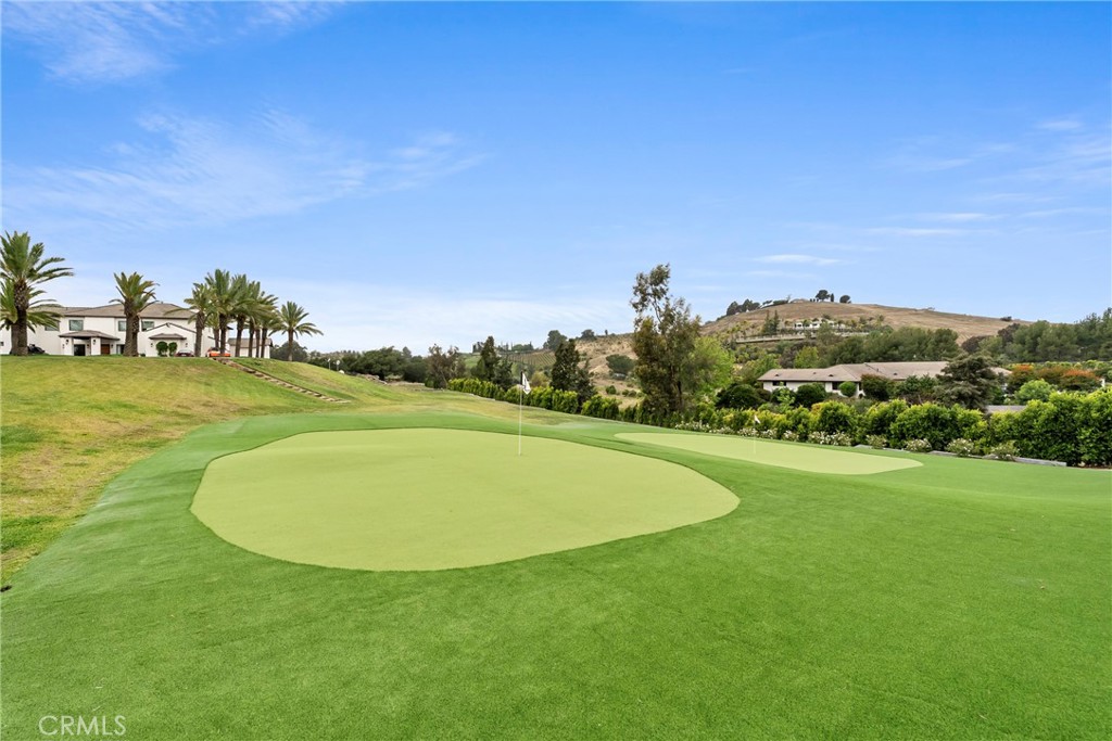 27716 Sycamore Mesa Road Temecula, CA 92590 - Photo 7 of 73 a view of a big yard with a large trees