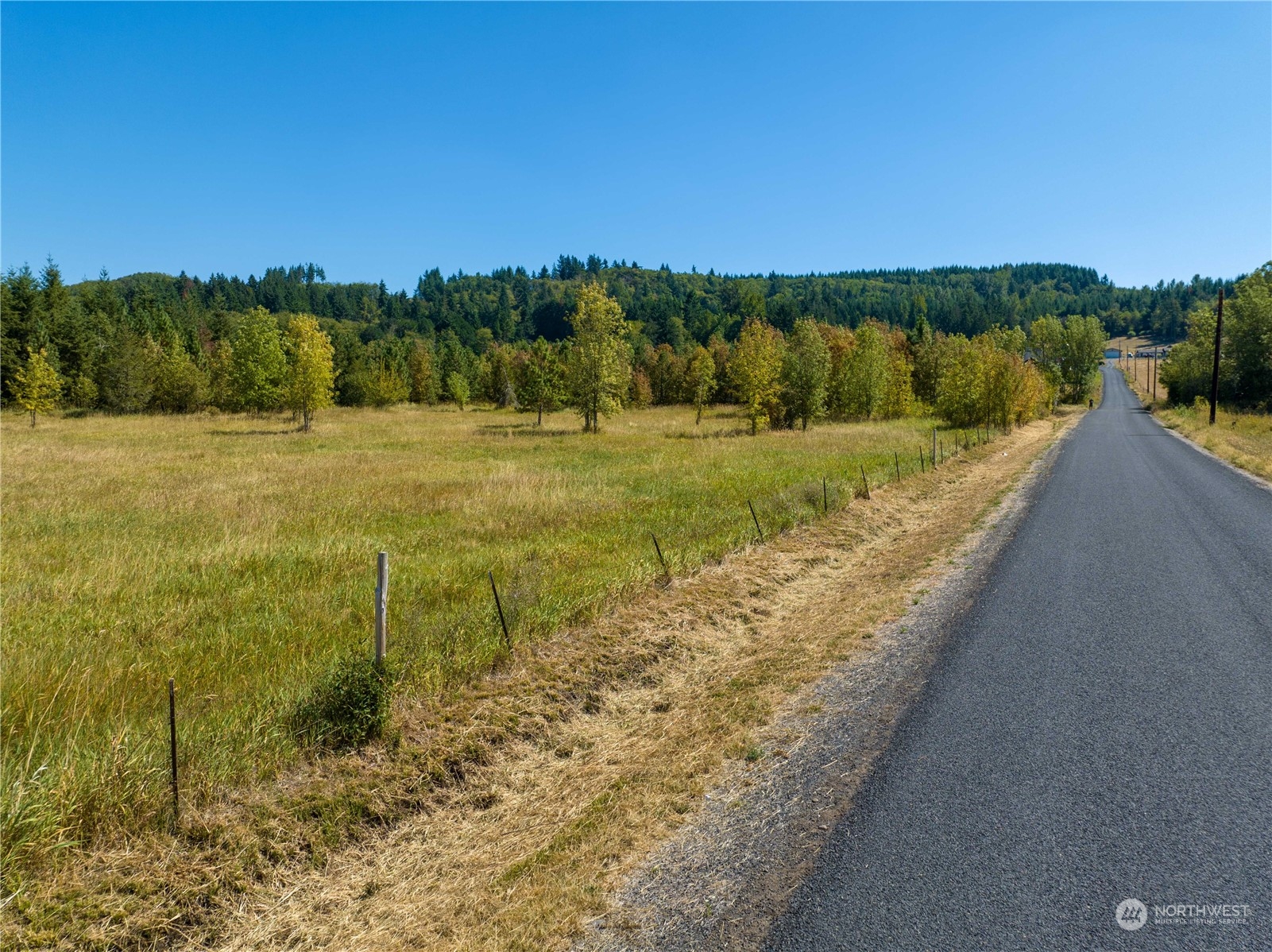 1 Maw Road Toledo, WA 98591 - Photo 22 of 26 a view of a yard with an trees