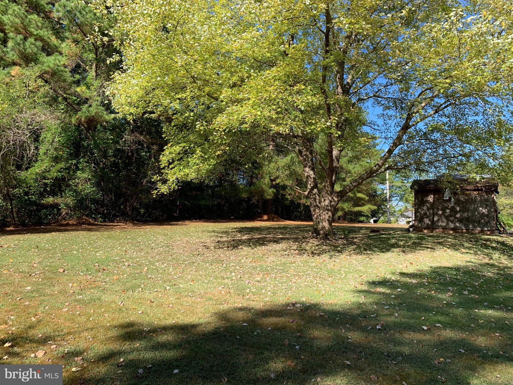 48683 Beachville Road St. Inigoes, MD 20684 - Photo 4 of 34 a view of a yard with trees