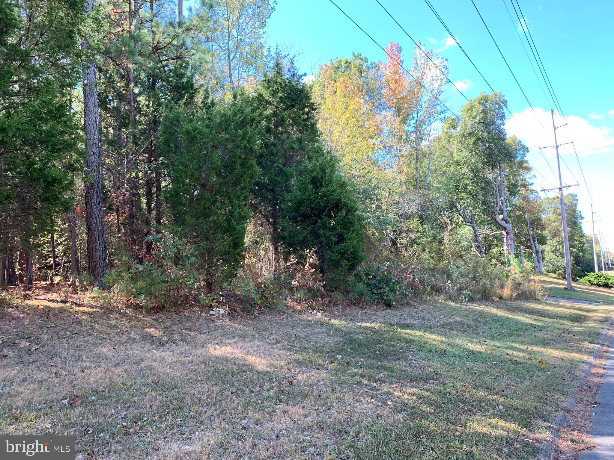 48683 Beachville Road St. Inigoes, MD 20684 - Photo 7 of 34 a view of a forest with trees