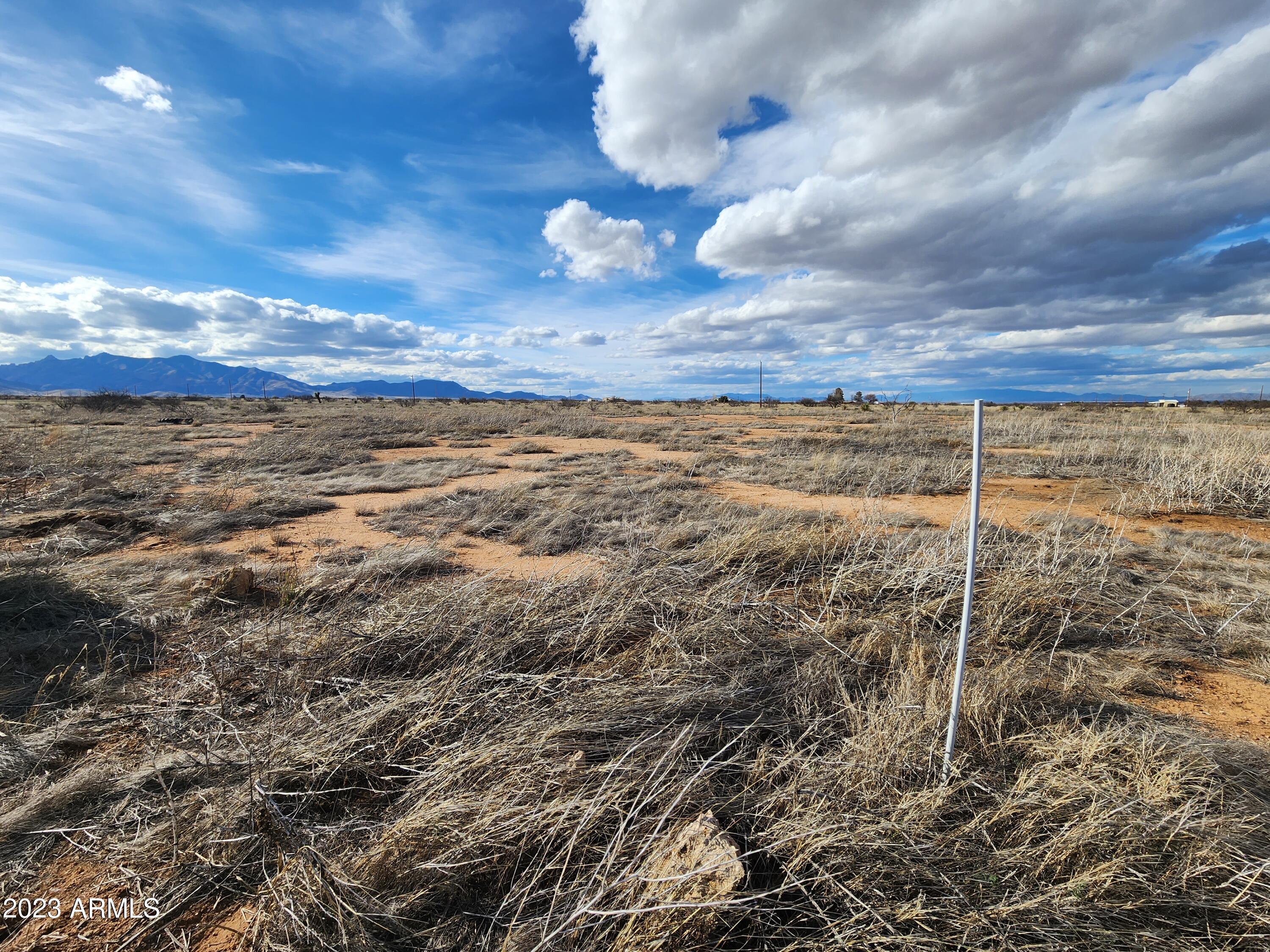 1.65-acres Rising Street, Unit 14 Pearce, AZ 85625 - Photo 1 of 12 20230320_161622
