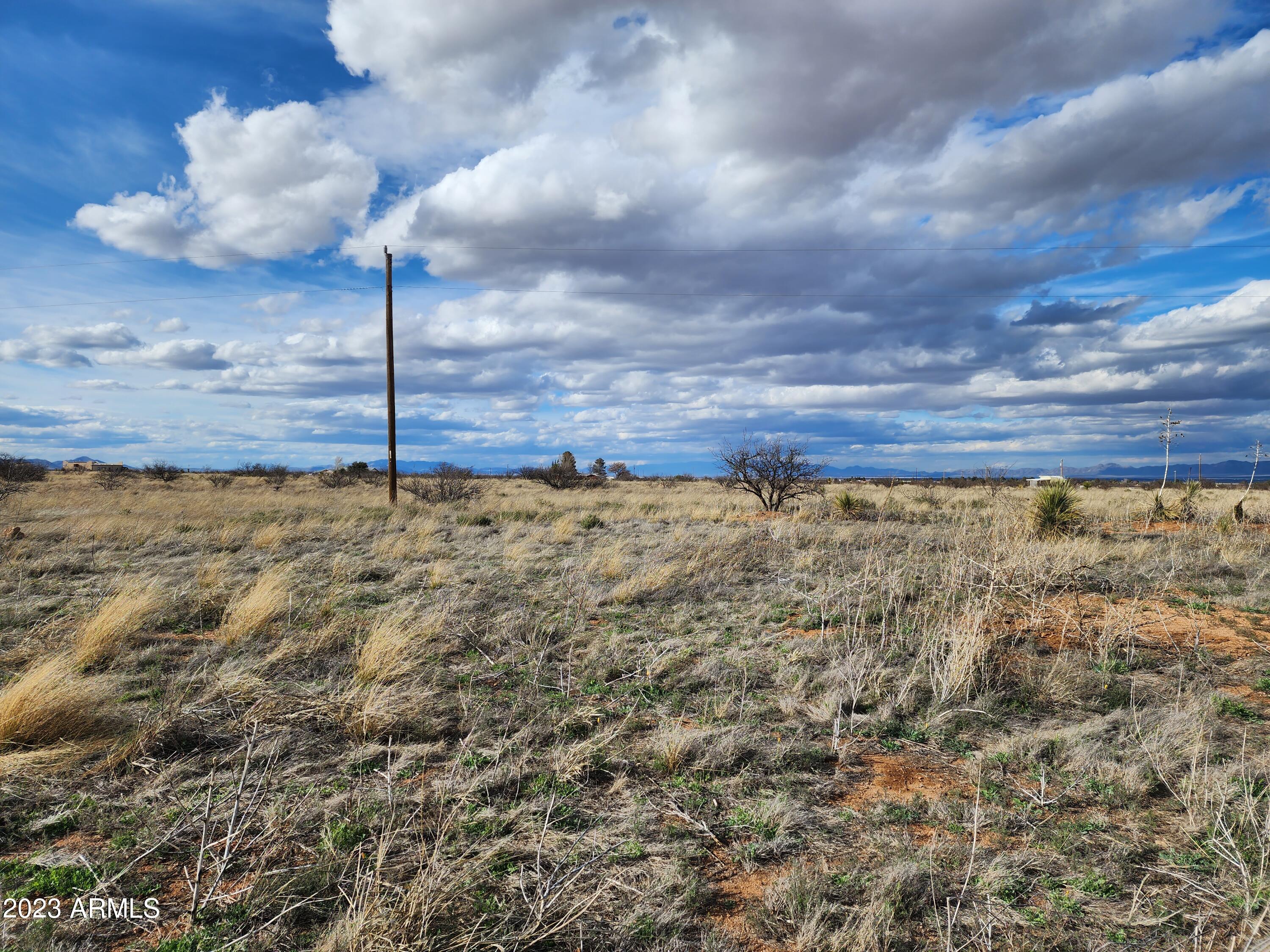 1.65-acres Rising Street, Unit 14 Pearce, AZ 85625 - Photo 4 of 12 20230320_161802